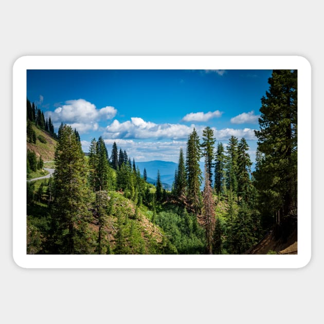 Vista in Lassen Volcanic National Park Sticker by Ckauzmann